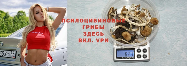 меф Дмитров