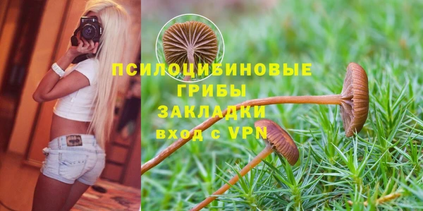 меф Дмитров