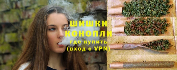 ECSTASY Дмитровск