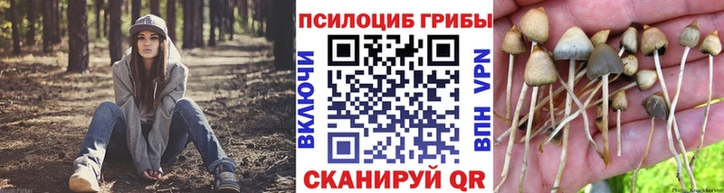 Псилоцибиновые грибы ЛСД  Купить  Сарапул 